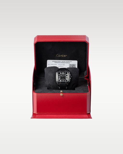 Cartier Santos WSSA0039 Image 5